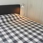 White Lotus Luxury 2br With Ac Downtown