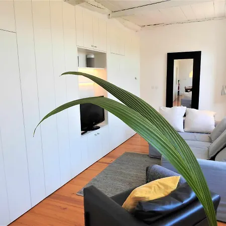 White Lotus Luxury 2br With Ac Downtown Порту