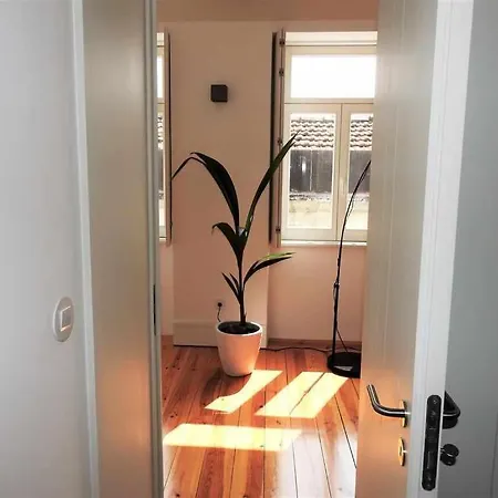 White Lotus Luxury 2br With Ac Downtown Lejlighed